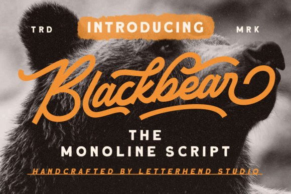 Blackbear Font for Stylish, Romantic Branding