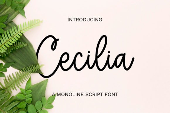 Cecilia Script Font Review
