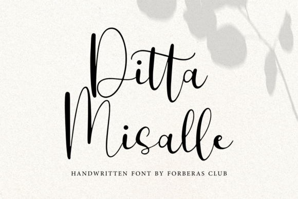 Ditta Misalle: The Script Font That Elevates Your Brand’s Visual Story