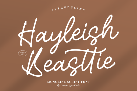 Hayleish Beasttie: A Script Font for Creative Crafters and Designers