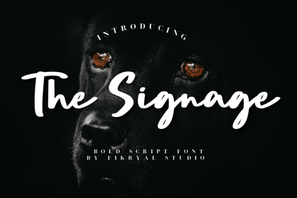 The Signage: A Bold Script Font for High-Impact Branding