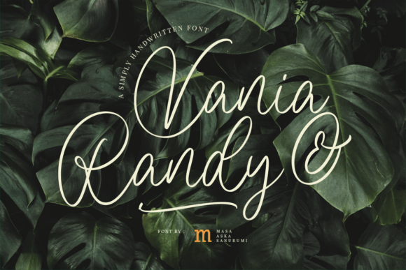 Vania and Randy: The Font That Elevates Your Campaigns